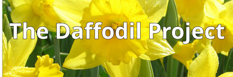 		                                		                                    <a href="https://www.bmh-bj.org/event/Daffodil%20Project"
		                                    	target="">
		                                		                                <span class="slider_title">
		                                    The Return of our beloved Daffodils		                                </span>
		                                		                                </a>
		                                		                                
		                                		                            	                            	
		                            <span class="slider_description">Join us this spring as we commemorate the blooming of daffodils planted in memory of Holocaust victims. Enjoy a light breakfast, let your kids express their creativity with rock painting, and be uplifted by inspiring messages and a heartfelt rendition of the Kaddish.</span>
		                            		                            		                            <a href="https://www.bmh-bj.org/event/Daffodil%20Project" class="slider_link"
		                            	target="">
		                            	Click here to register for this free event		                            </a>
		                            		                            